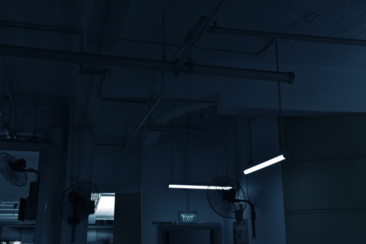 Archillect ID 242044