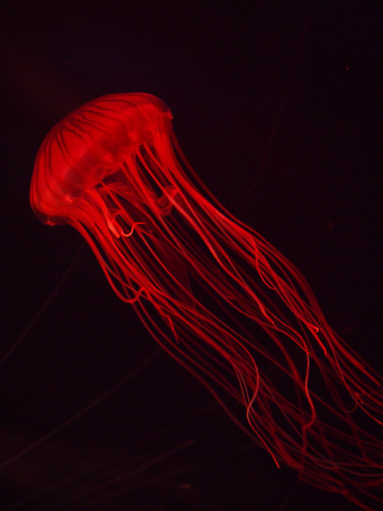 Archillect ID 242293