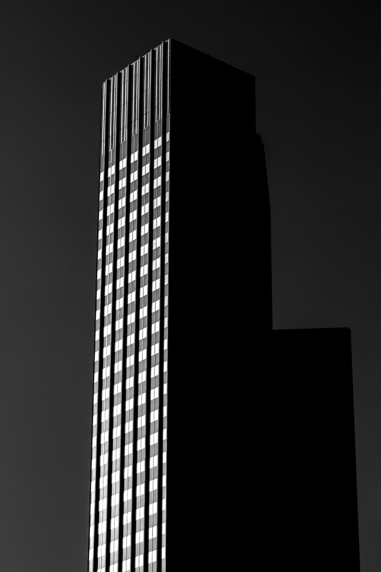 Archillect ID 242346