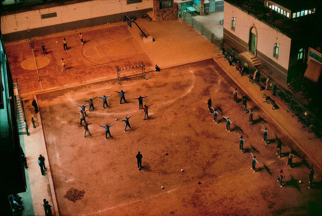 Archillect ID 242416