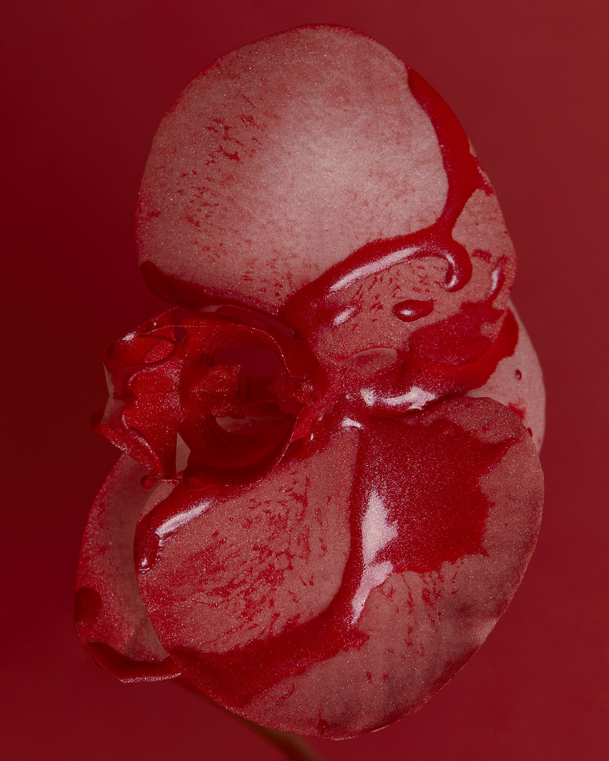 Archillect ID 242427