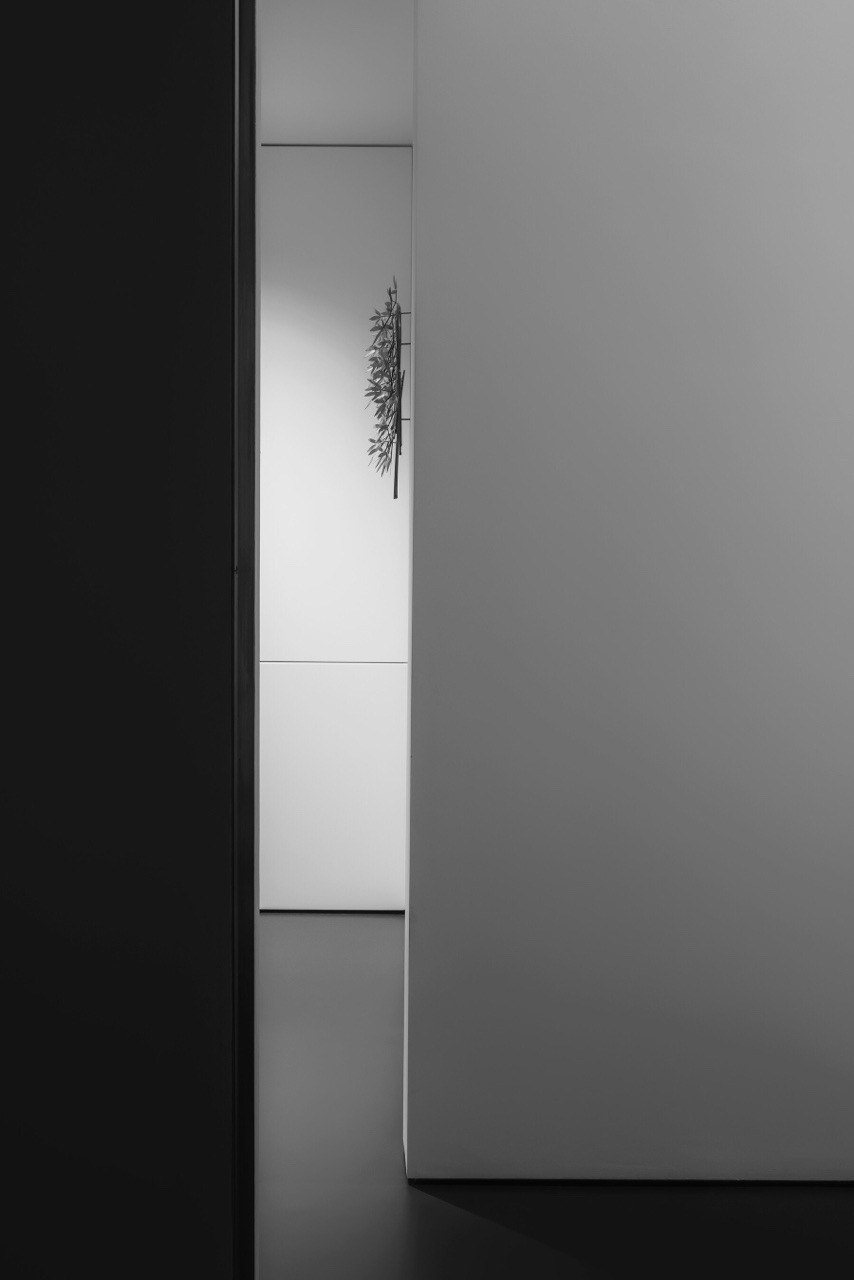 Archillect ID 242626