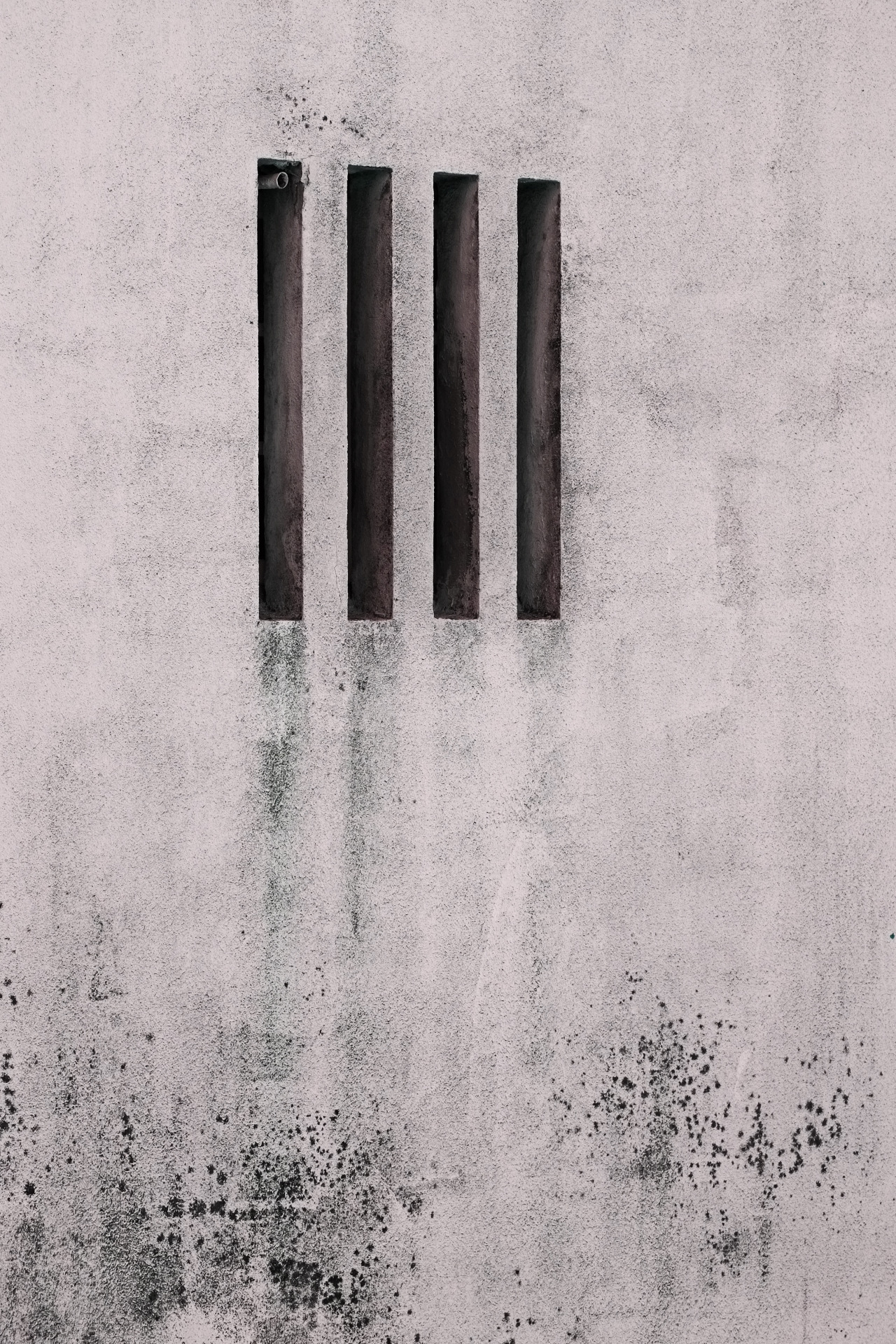 Archillect ID 242751