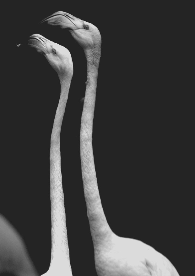 Archillect ID 242880
