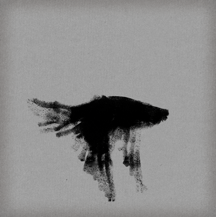 Archillect ID 242886