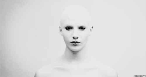 Archillect ID 242894