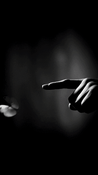 Archillect ID 242901