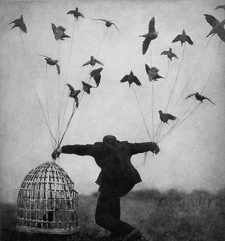 Archillect ID 242903