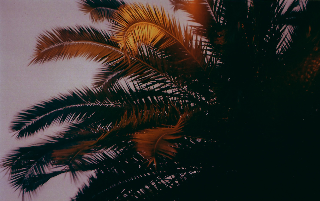 Archillect ID 242913