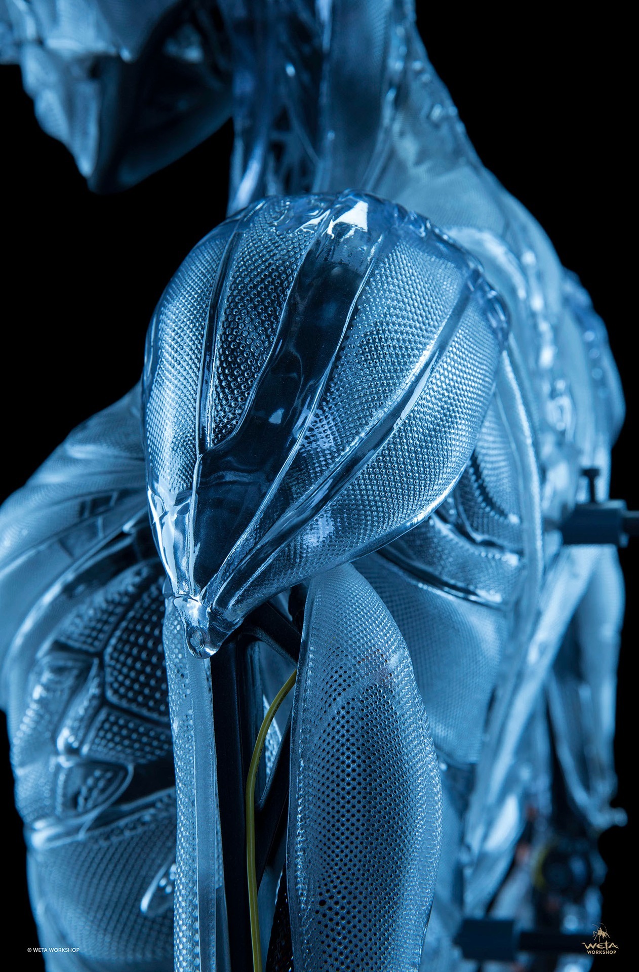 Archillect ID 242979