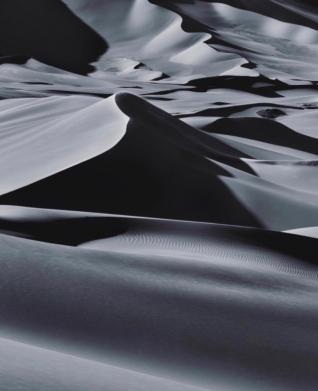 Archillect ID 243424