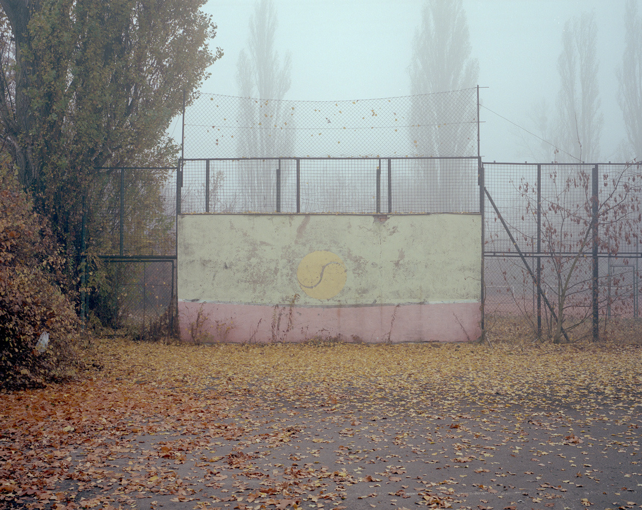 Archillect ID 243534