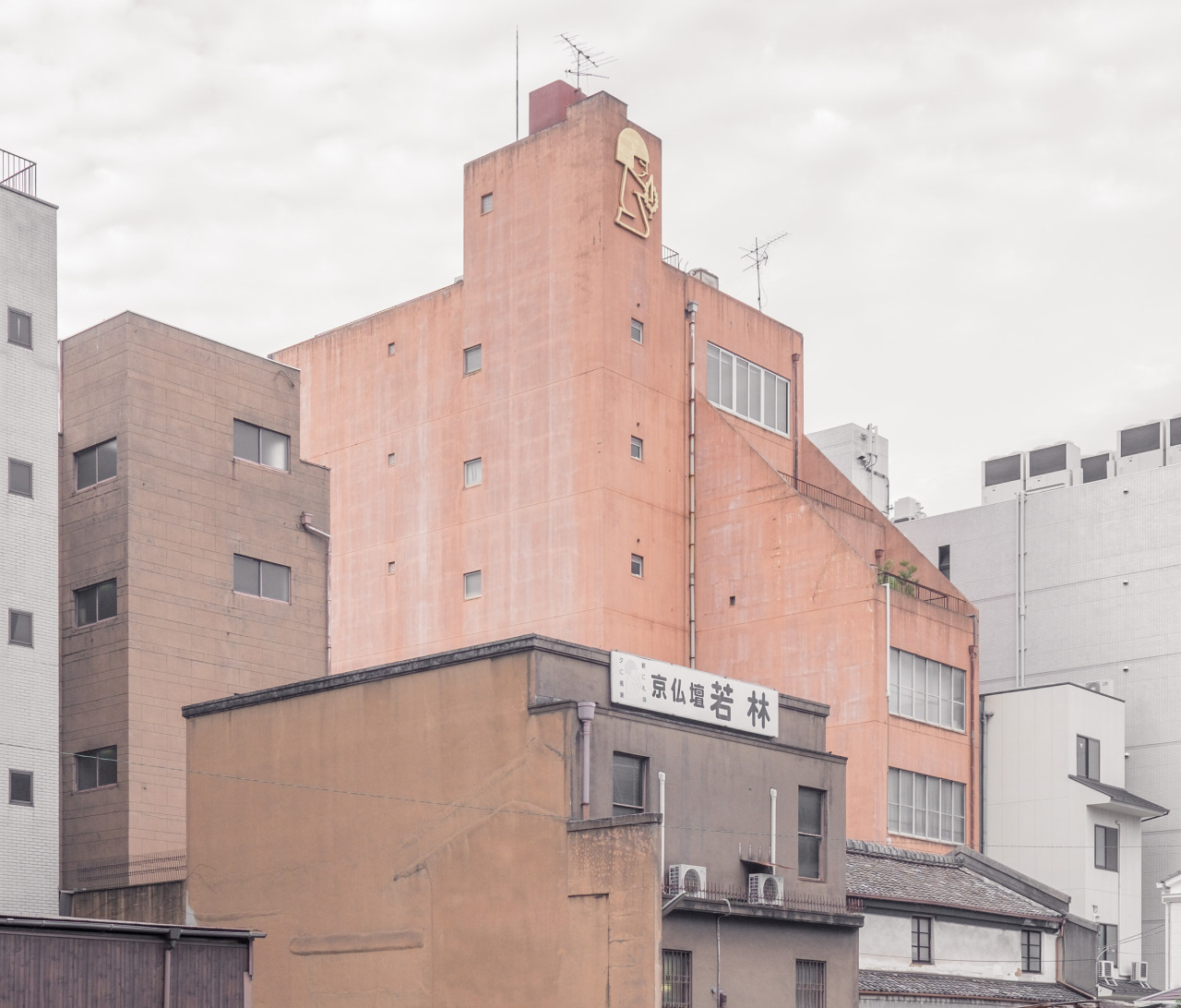 Archillect ID 243557