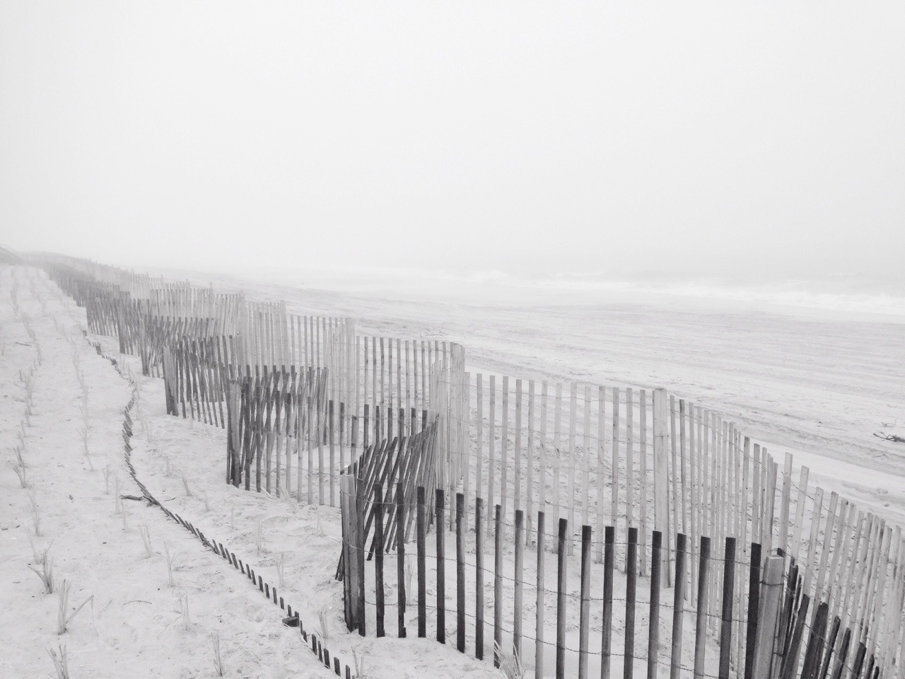 Archillect ID 243702