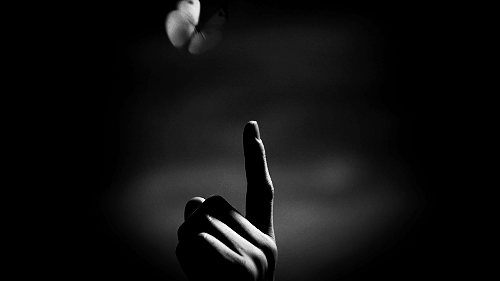 Archillect ID 243732