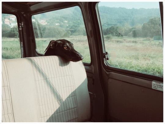 Archillect ID 243743