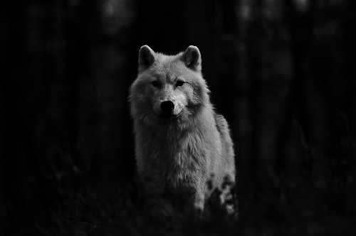 Archillect ID 243752