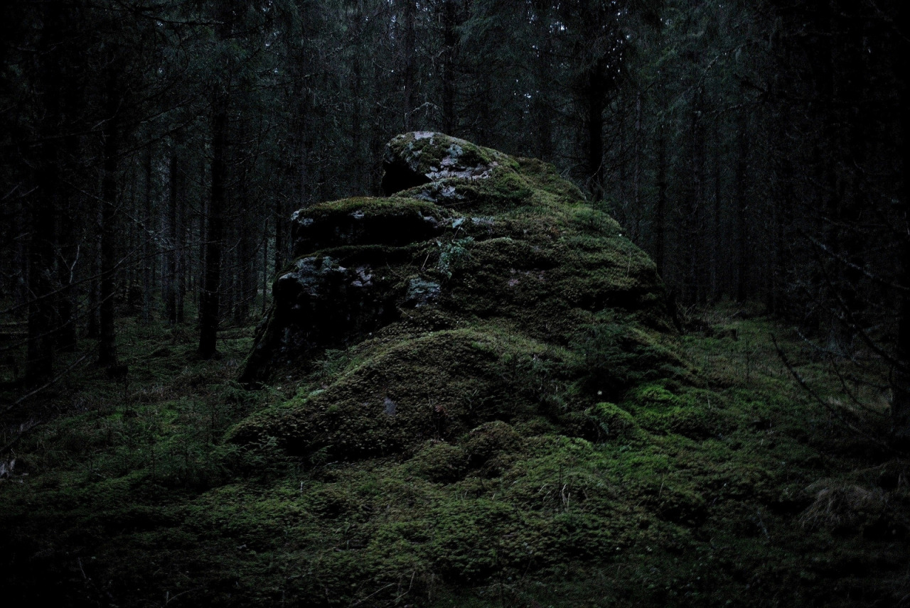 Archillect ID 243922