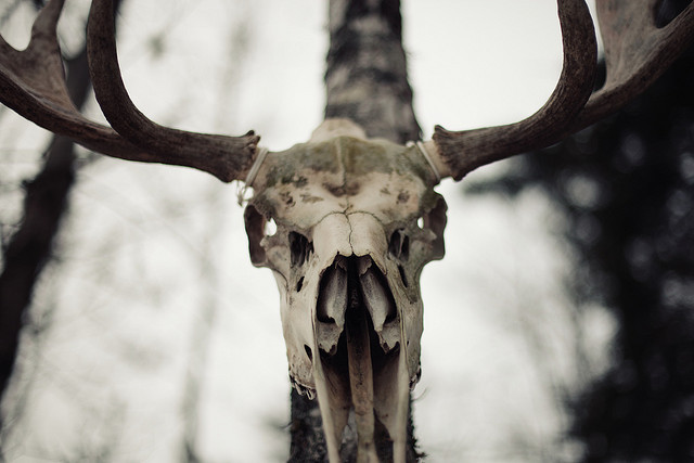 Archillect ID 243955