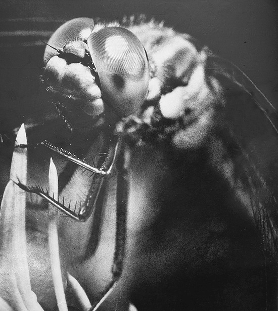 Archillect ID 243966