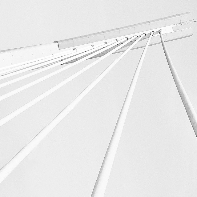 Archillect ID 244025