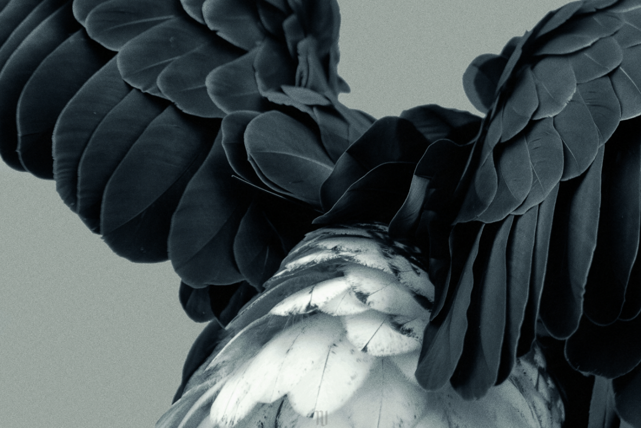 Archillect ID 244028