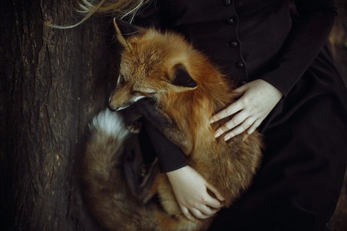 Archillect ID 244097