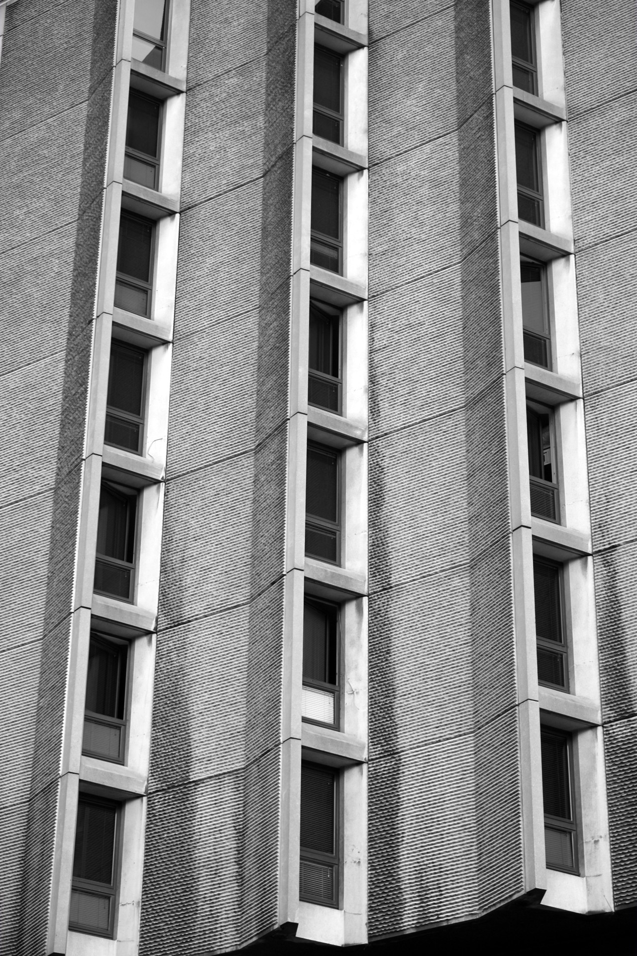 Archillect ID 244174