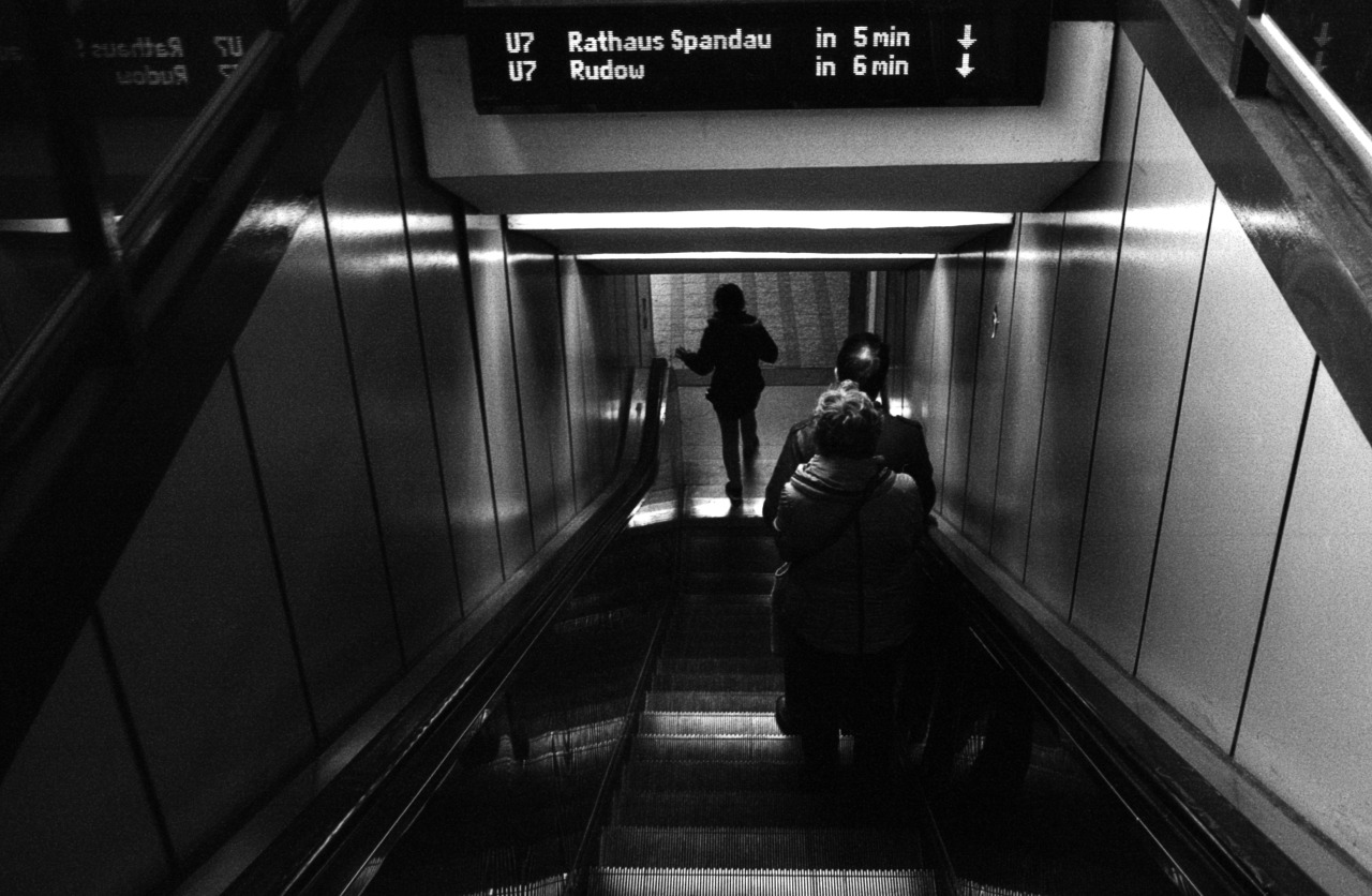 Archillect ID 244245