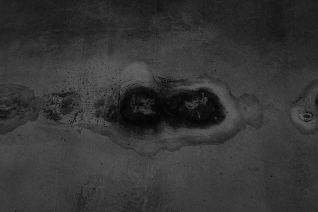 Archillect ID 244318