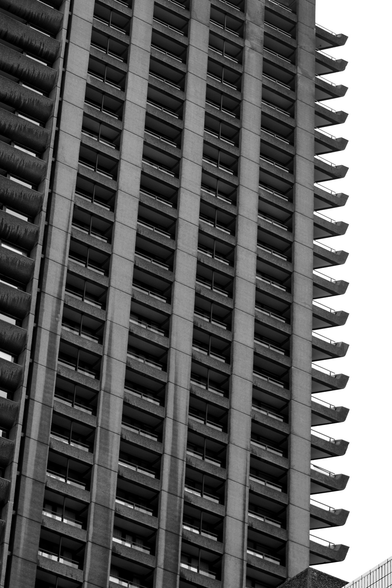 Archillect ID 244383