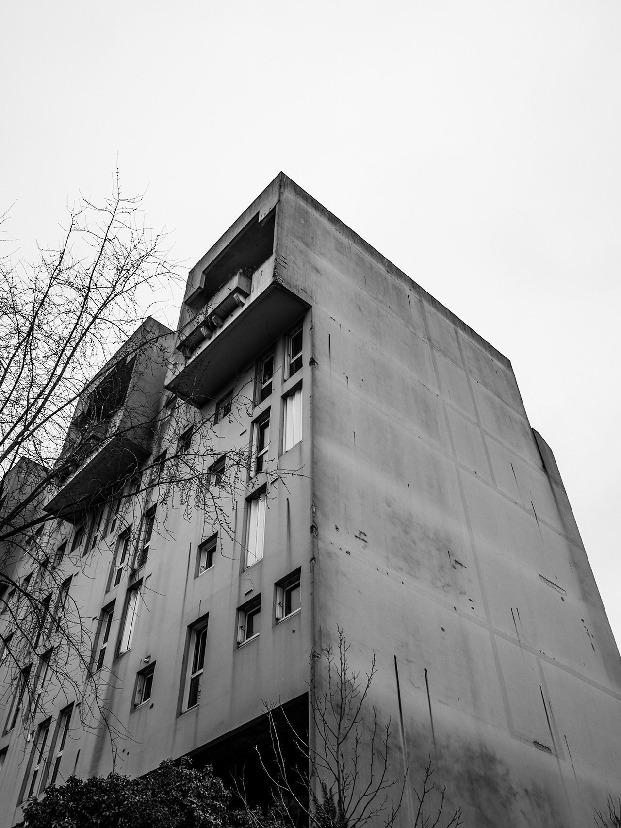 Archillect ID 244452
