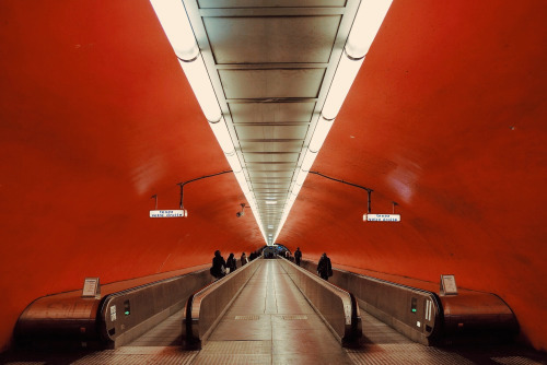 Archillect ID 244557