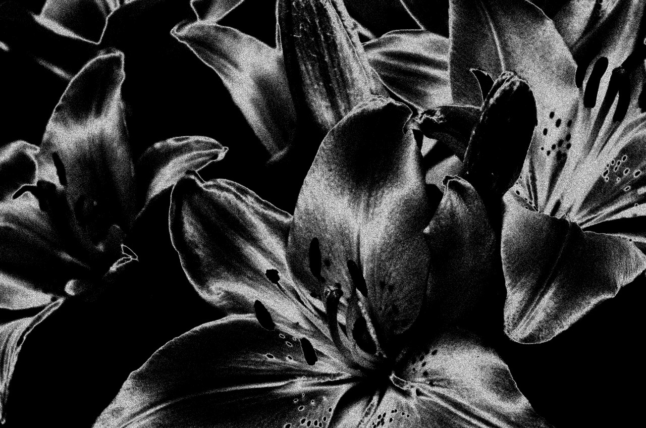 Archillect ID 244648