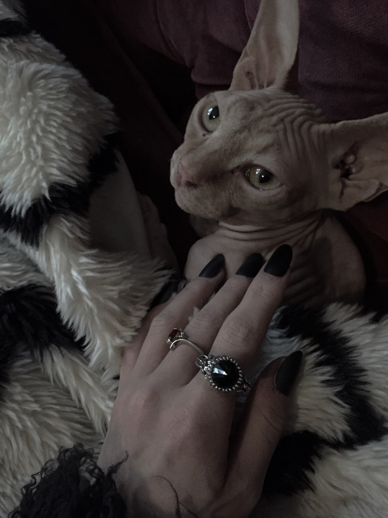 Archillect ID 244802
