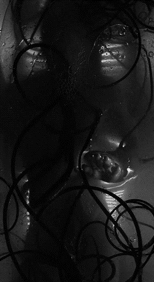 Archillect ID 244994
