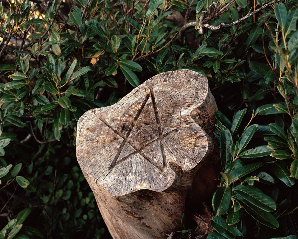 Archillect ID 245189