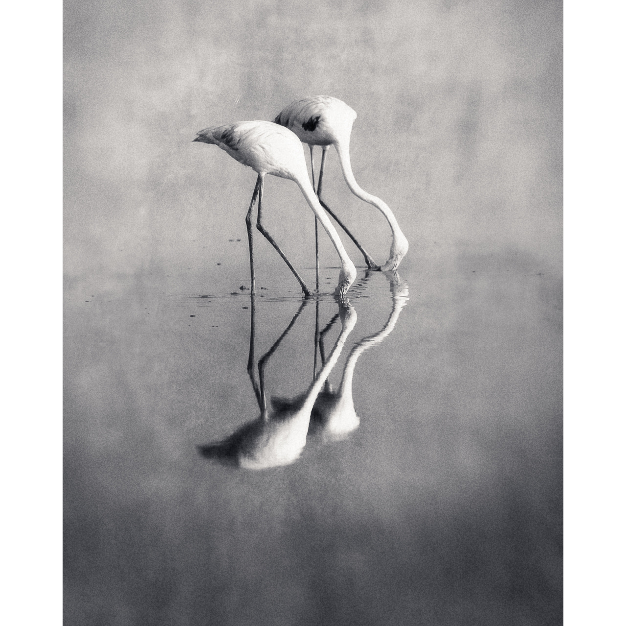 Archillect ID 245332