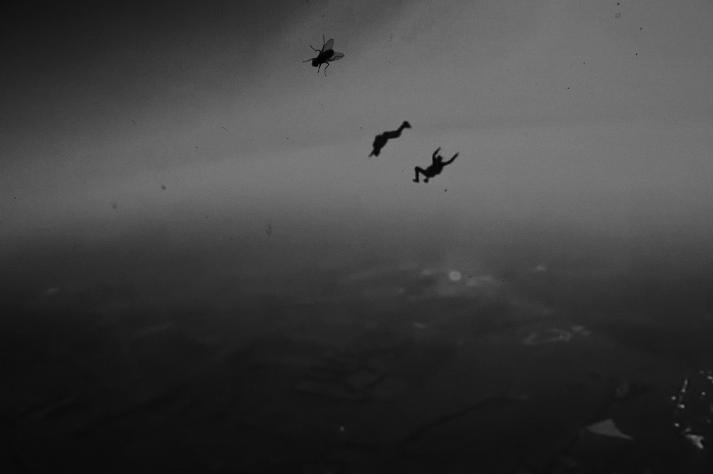 Archillect ID 245511