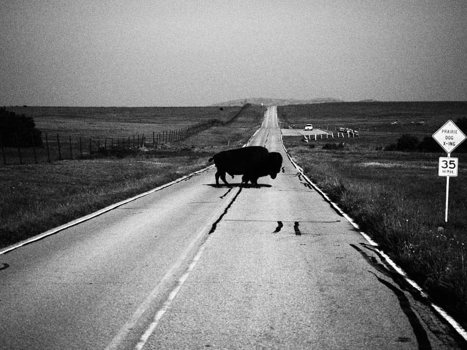 Archillect ID 245647