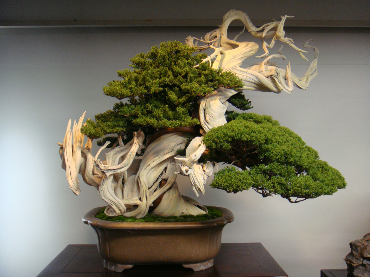 Archillect ID 245719