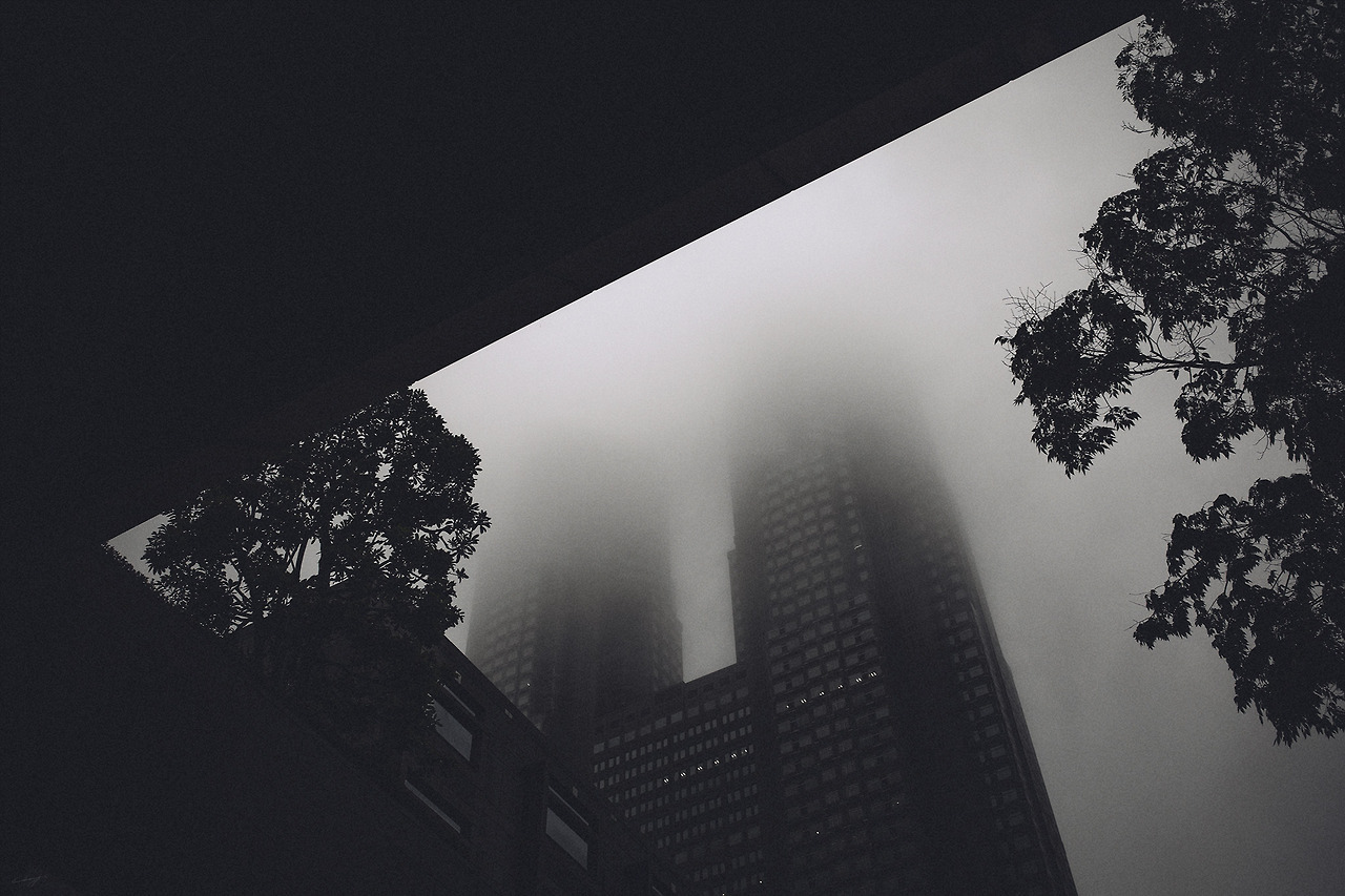 Archillect ID 245979