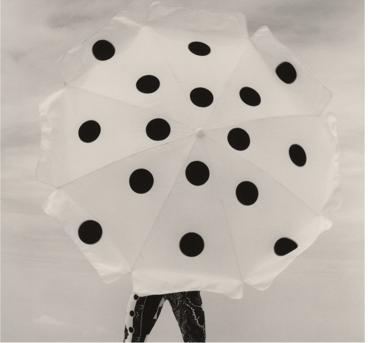 Archillect ID 246092