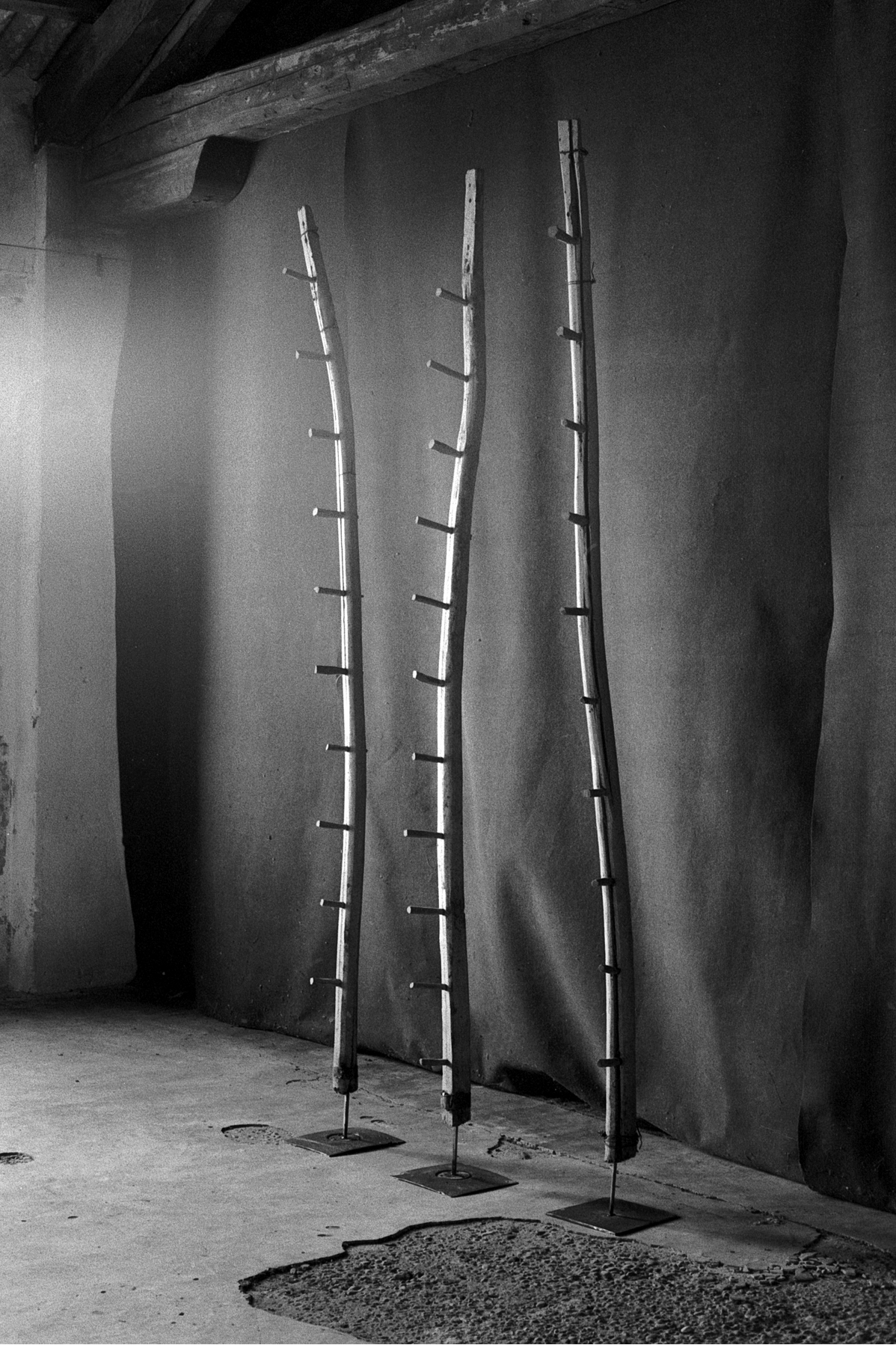 Archillect ID 246111