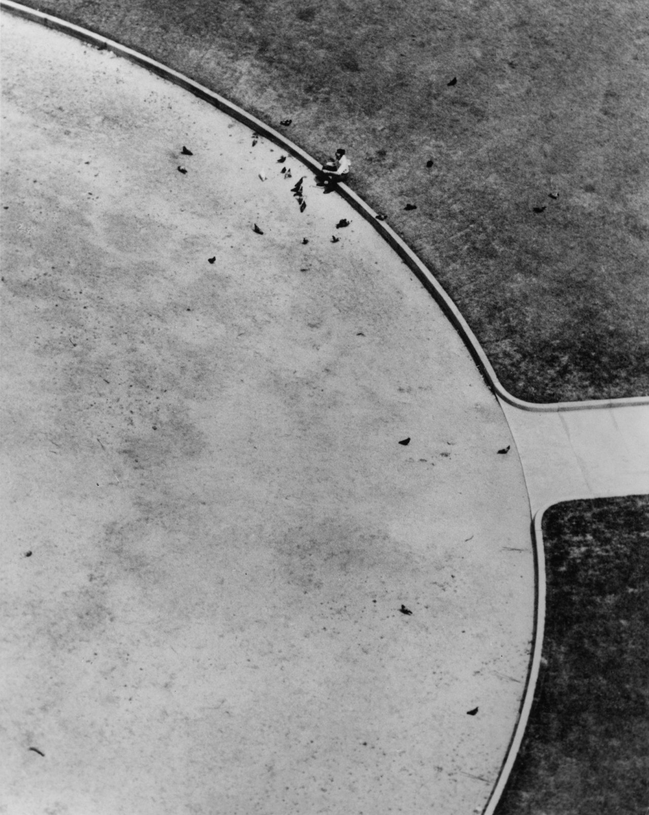 Archillect ID 246135
