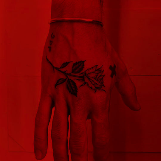 Archillect ID 246145
