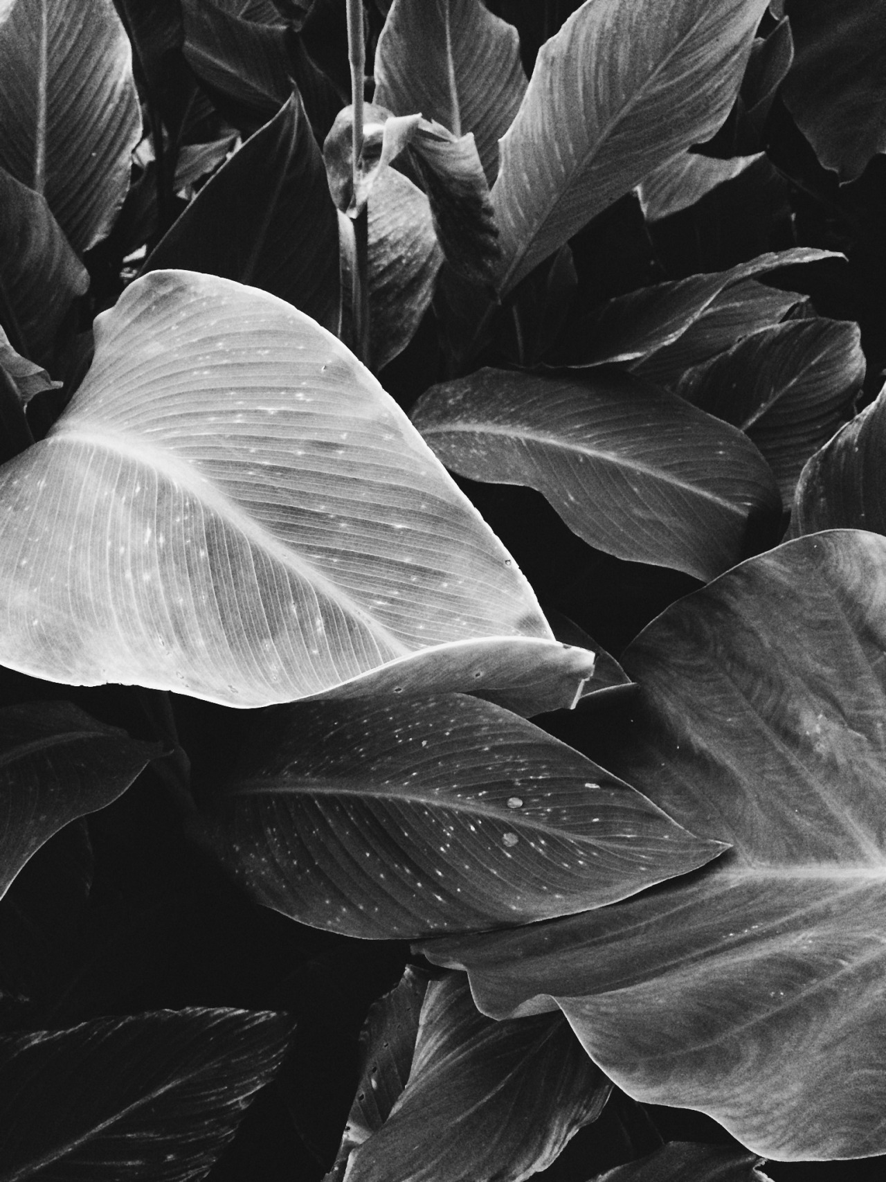Archillect ID 246183