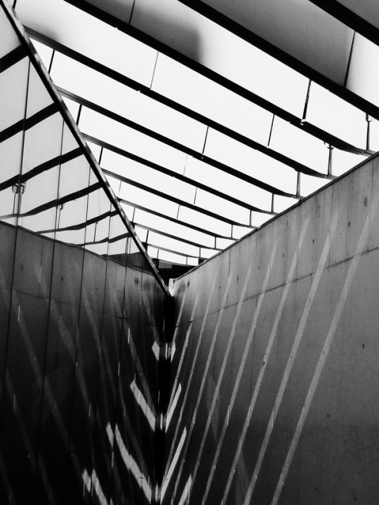 Archillect ID 246395