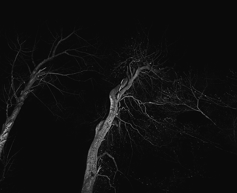 Archillect ID 246595