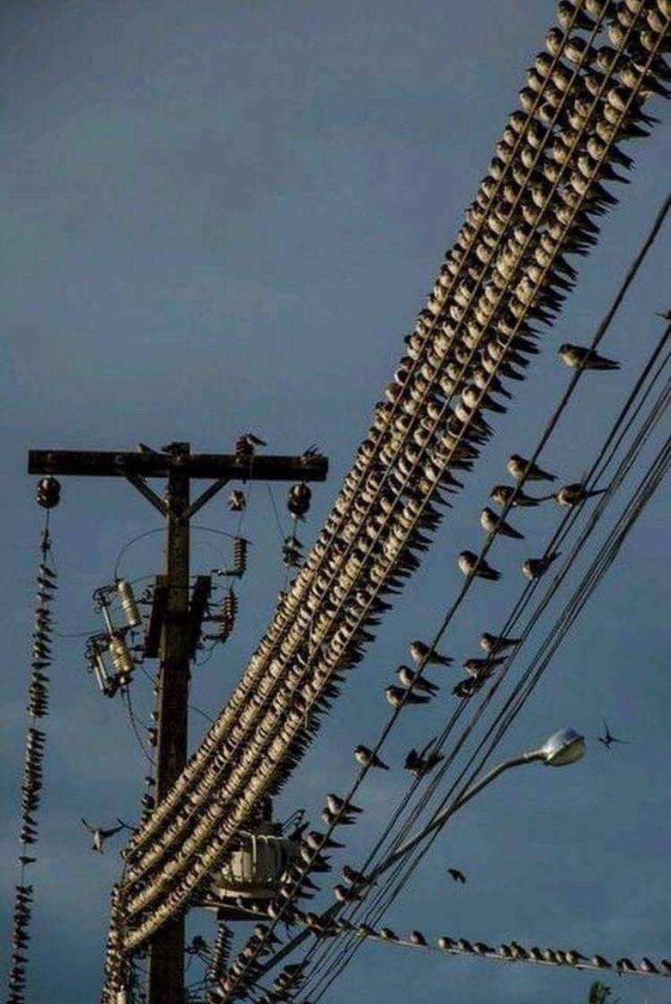 Archillect ID 246655